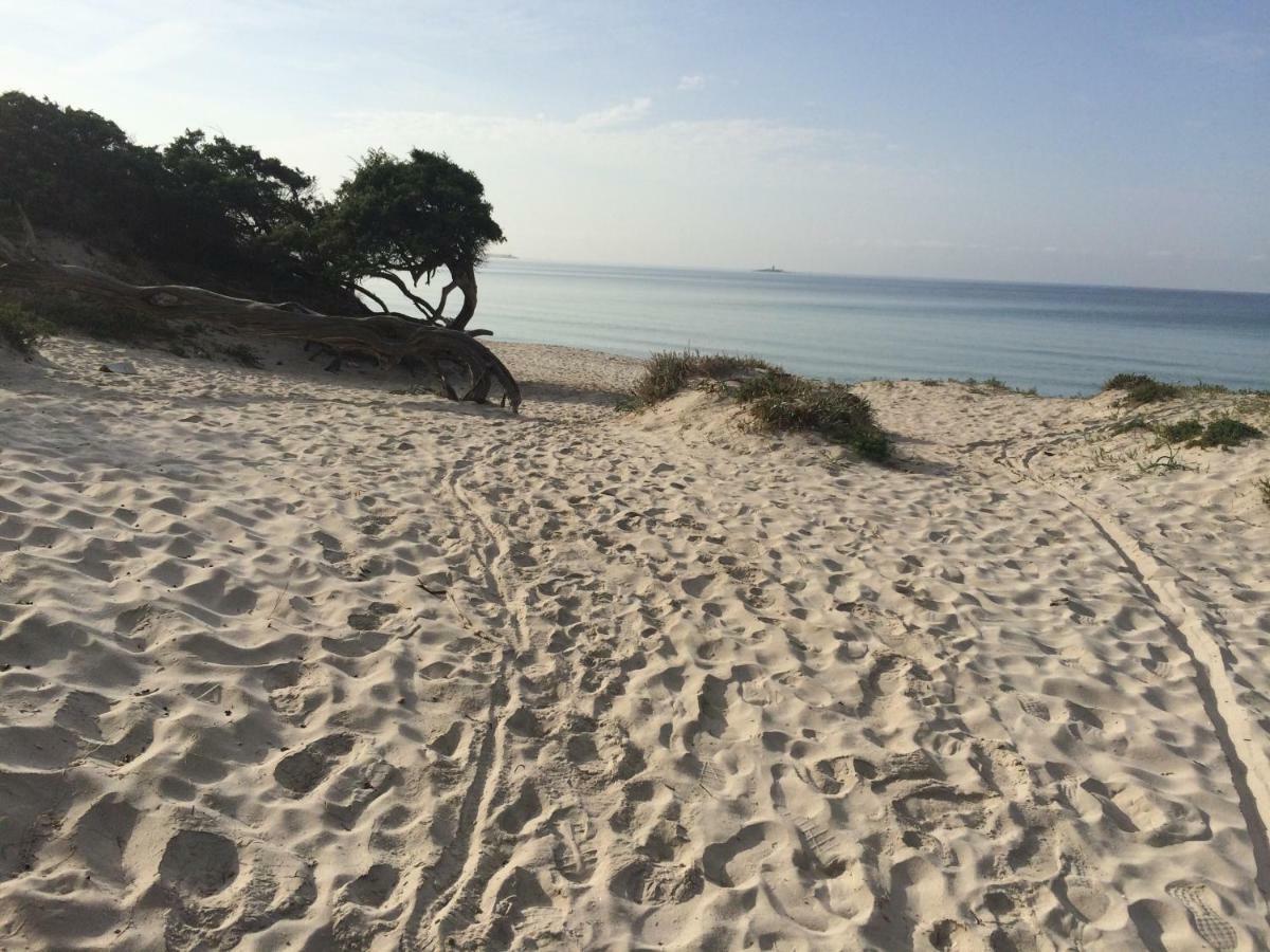 Appartamento Mare E Centro Alghero Exteriér fotografie